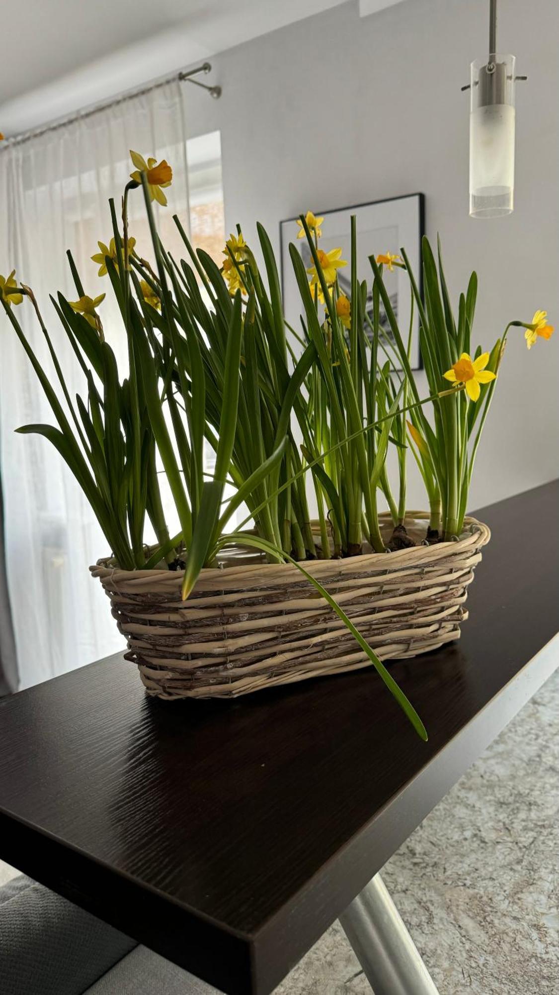 Apartament rodzinny Kołobrzeg Zewnętrze zdjęcie